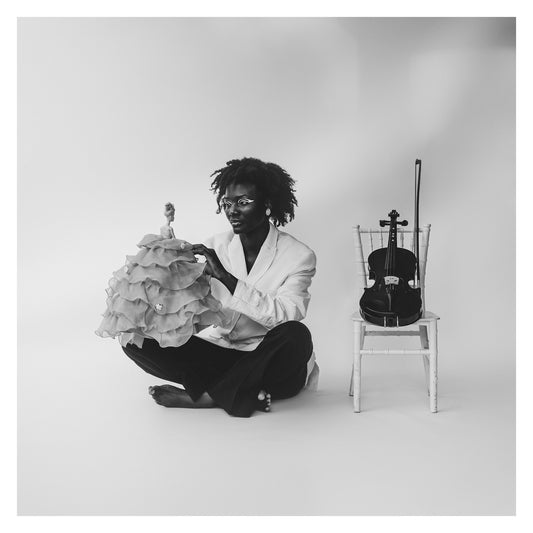 Violin 5