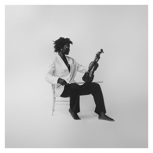Violin 6